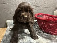 processed/460a9d35-d76f-407e-a50e-0be859d61cc8/listing/4a7b9197-cafa-4c44-a179-aecfe47574b7/256f3d43-ff61-400d-892b-66e686b8b0db