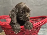 processed/460a9d35-d76f-407e-a50e-0be859d61cc8/listing/4a7b9197-cafa-4c44-a179-aecfe47574b7/3c983580-1f97-4a5b-a59e-0b9e4d33319f