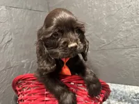 processed/460a9d35-d76f-407e-a50e-0be859d61cc8/listing/4a7b9197-cafa-4c44-a179-aecfe47574b7/b37e8f4b-7b9a-473a-a421-e25beaa435ad