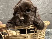 processed/460a9d35-d76f-407e-a50e-0be859d61cc8/listing/4a7b9197-cafa-4c44-a179-aecfe47574b7/c1cb5a69-cb96-4e2e-aa07-ef121d88935d