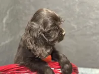 processed/460a9d35-d76f-407e-a50e-0be859d61cc8/listing/4a7b9197-cafa-4c44-a179-aecfe47574b7/d161b7fa-56ad-4524-ab47-7c38f816f5bb