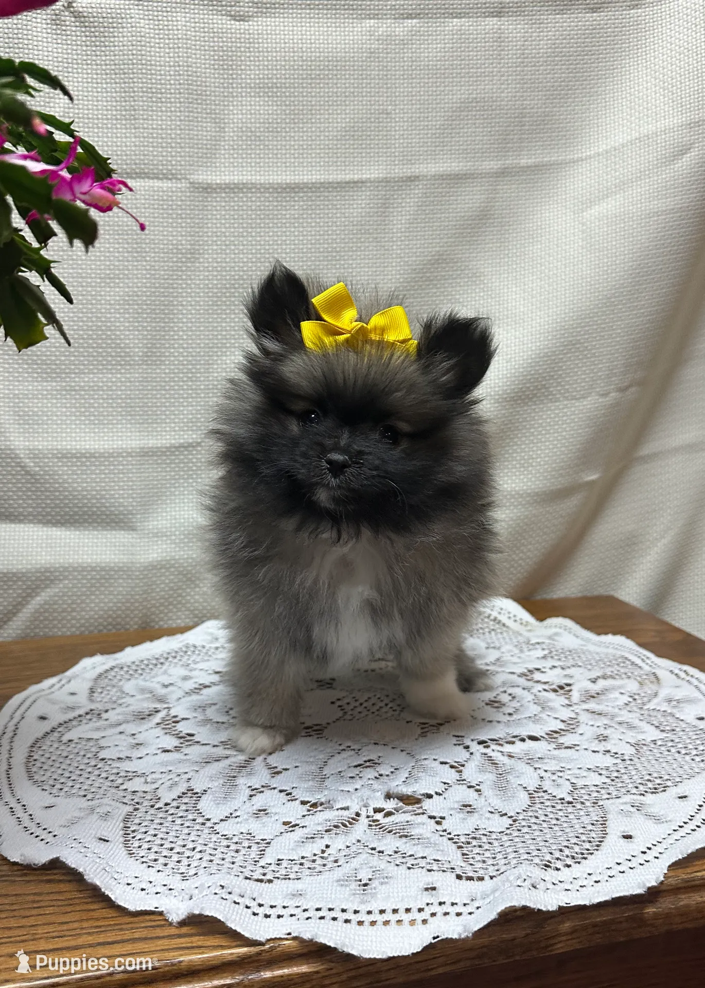 processed/460a9d35-d76f-407e-a50e-0be859d61cc8/listing/5b66237f-1323-45c3-a2c0-280ec524f097/21838b9f-8886-47ea-8e7c-43ee319c6762