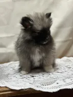 processed/460a9d35-d76f-407e-a50e-0be859d61cc8/listing/5b66237f-1323-45c3-a2c0-280ec524f097/226cd708-1007-4554-bcf3-e4c9950405a1