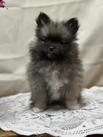 processed/460a9d35-d76f-407e-a50e-0be859d61cc8/listing/5b66237f-1323-45c3-a2c0-280ec524f097/63389a34-c77b-4959-ab44-46a6a0fe35d1