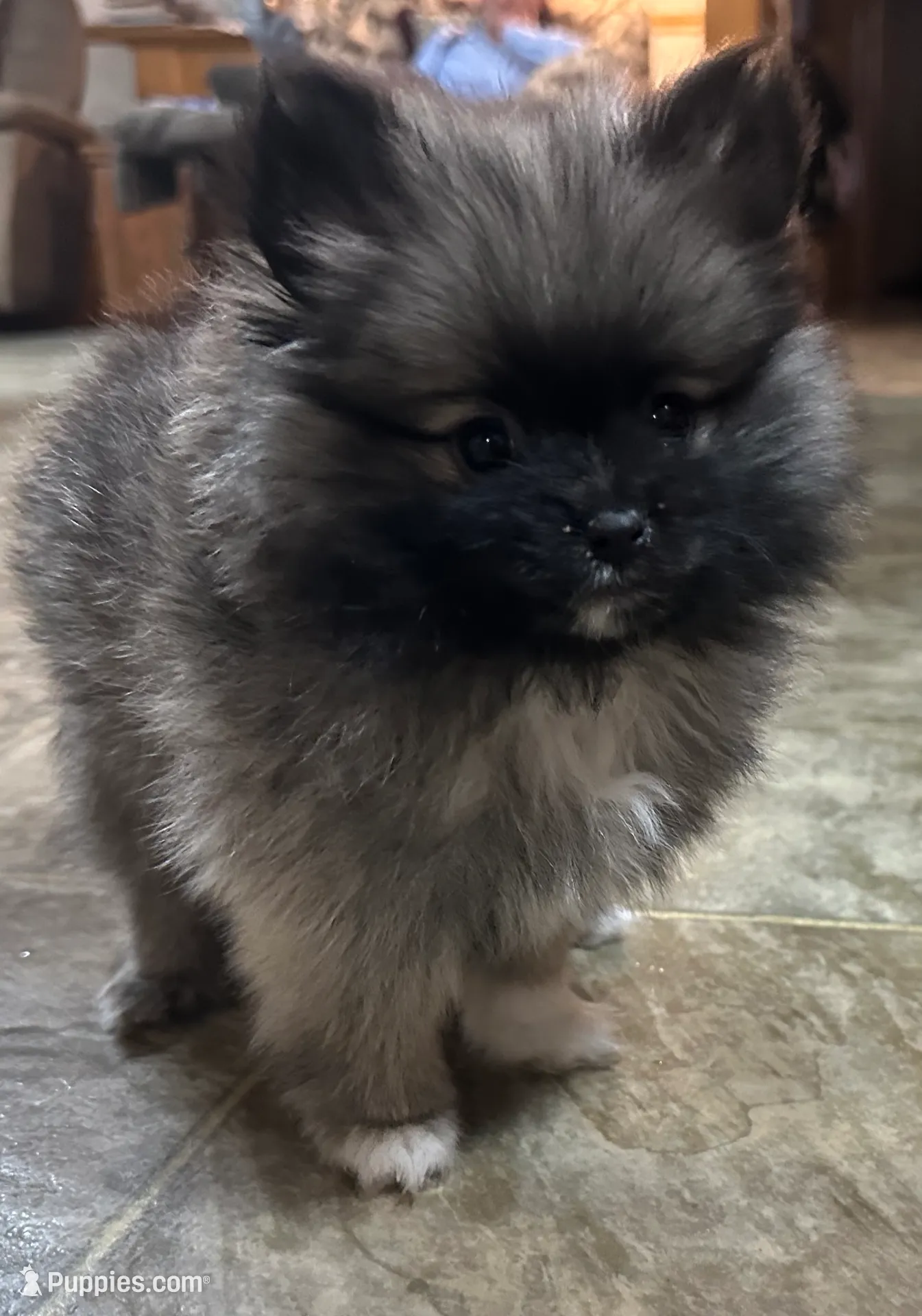 processed/460a9d35-d76f-407e-a50e-0be859d61cc8/listing/5b66237f-1323-45c3-a2c0-280ec524f097/6b33fec5-6aea-4b55-a2ca-912848662cbc