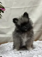 processed/460a9d35-d76f-407e-a50e-0be859d61cc8/listing/5b66237f-1323-45c3-a2c0-280ec524f097/b8a517de-66ec-42bc-af93-c2773032a86f