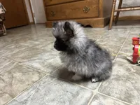 processed/460a9d35-d76f-407e-a50e-0be859d61cc8/listing/5b66237f-1323-45c3-a2c0-280ec524f097/be2f9501-5038-466e-99a9-ba46b7079e38