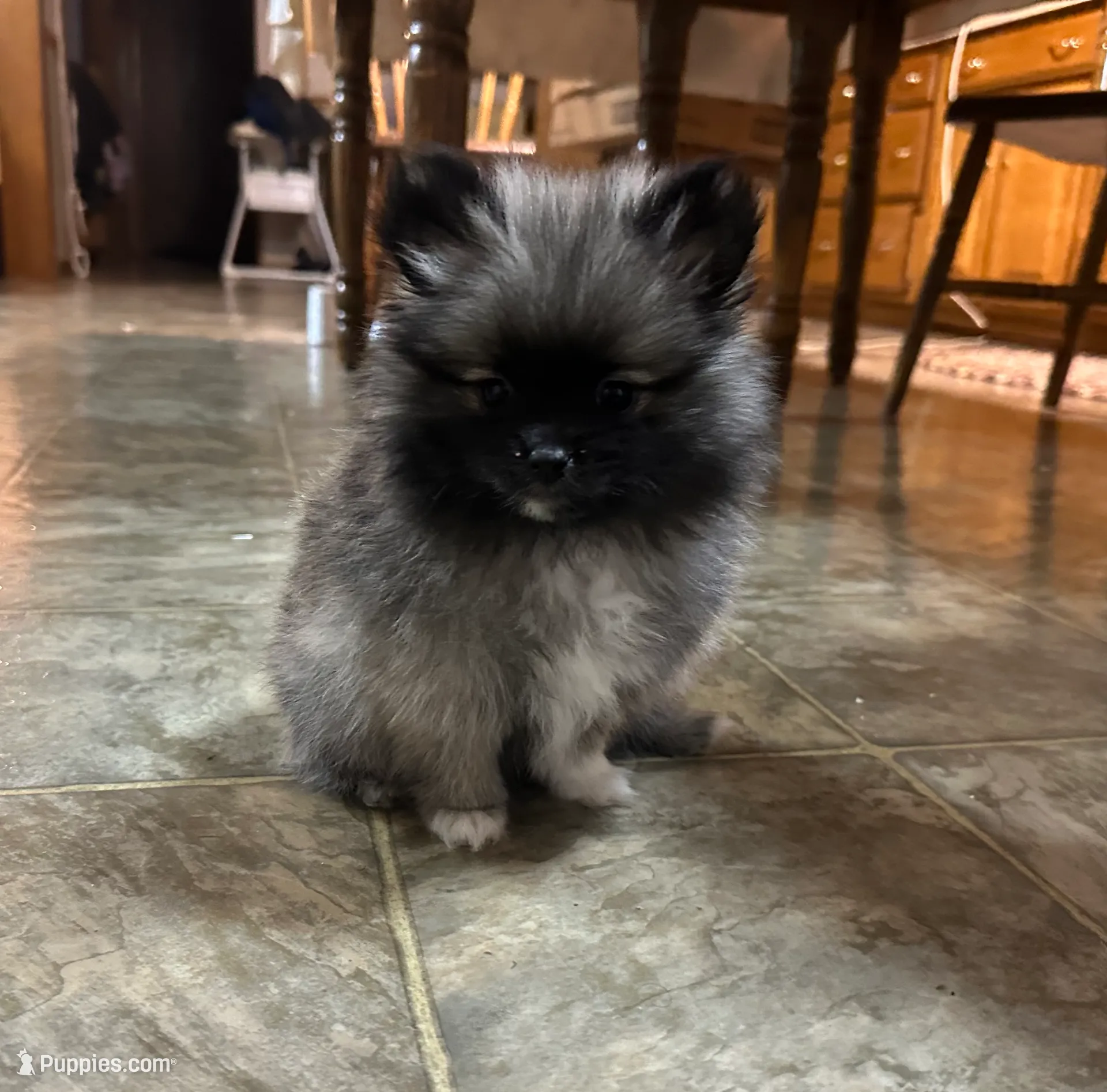 processed/460a9d35-d76f-407e-a50e-0be859d61cc8/listing/5b66237f-1323-45c3-a2c0-280ec524f097/cd1e4223-50ef-4fdd-9a3b-5ddd272b6caa