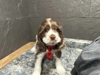 processed/460a9d35-d76f-407e-a50e-0be859d61cc8/listing/6ca4acfb-0087-4c8c-ada4-16553bcab256/9112bad5-66e3-4340-a0e2-e6fab2a16c8a