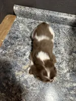 processed/460a9d35-d76f-407e-a50e-0be859d61cc8/listing/6ca4acfb-0087-4c8c-ada4-16553bcab256/9e1fb6ce-53bd-410b-9ab2-db853691ff68