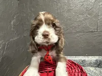 processed/460a9d35-d76f-407e-a50e-0be859d61cc8/listing/6ca4acfb-0087-4c8c-ada4-16553bcab256/a1510f84-bc05-40ed-83f5-afe3c60c7611