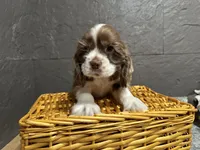 processed/460a9d35-d76f-407e-a50e-0be859d61cc8/listing/6ca4acfb-0087-4c8c-ada4-16553bcab256/e25a39e7-88e4-4888-844c-26f21d4d5a2b