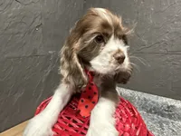 processed/460a9d35-d76f-407e-a50e-0be859d61cc8/listing/6ca4acfb-0087-4c8c-ada4-16553bcab256/e3792199-2f84-41bc-b5e1-43d75f879ec1