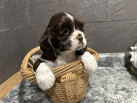 processed/460a9d35-d76f-407e-a50e-0be859d61cc8/listing/d0fc0a40-79cb-4390-a1c6-23fad14e9dc6/12848ddc-9abf-4566-acc5-11b5055c634d