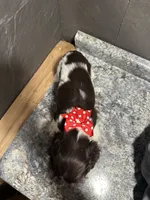 processed/460a9d35-d76f-407e-a50e-0be859d61cc8/listing/d0fc0a40-79cb-4390-a1c6-23fad14e9dc6/4e5f3ff0-5fb1-4b22-9645-8d0ab2774b8e