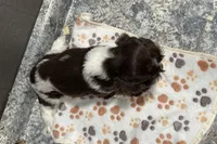 processed/460a9d35-d76f-407e-a50e-0be859d61cc8/listing/d0fc0a40-79cb-4390-a1c6-23fad14e9dc6/5cb0d558-1725-470e-8ae9-bf67897ba500