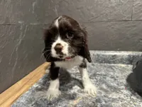 processed/460a9d35-d76f-407e-a50e-0be859d61cc8/listing/d0fc0a40-79cb-4390-a1c6-23fad14e9dc6/b2ec77f4-c8a4-469b-816e-fc63b09ab7b0