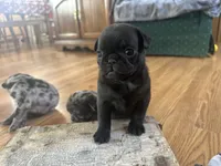 processed/460a9d35-d76f-407e-a50e-0be859d61cc8/listing/effdf43f-f2bd-46b1-bc45-ca37be1961ff/044b1722-dd24-42f7-bd08-bd969026daa7