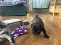 processed/460a9d35-d76f-407e-a50e-0be859d61cc8/listing/effdf43f-f2bd-46b1-bc45-ca37be1961ff/b4eb397b-00ec-450c-84d7-20d831b00932