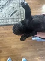 processed/460a9d35-d76f-407e-a50e-0be859d61cc8/listing/effdf43f-f2bd-46b1-bc45-ca37be1961ff/bb4fc890-41e2-4c83-9c86-9e4214771c29