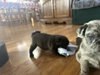 processed/460a9d35-d76f-407e-a50e-0be859d61cc8/listing/effdf43f-f2bd-46b1-bc45-ca37be1961ff/fcb0b416-8d86-46be-94e3-21527a18a18c