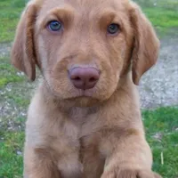 processed/461cb857-cc06-4313-8086-387559a887e5/facility/1fe1ef03-6977-434e-a15e-c00c3e19dbcf