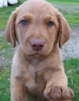 processed/461cb857-cc06-4313-8086-387559a887e5/facility/1fe1ef03-6977-434e-a15e-c00c3e19dbcf