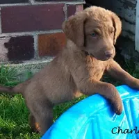 processed/461cb857-cc06-4313-8086-387559a887e5/facility/2bfeecec-e578-4324-bc99-f4b40fda023e