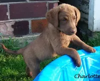 processed/461cb857-cc06-4313-8086-387559a887e5/facility/2bfeecec-e578-4324-bc99-f4b40fda023e