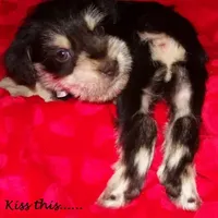 processed/461cb857-cc06-4313-8086-387559a887e5/facility/7ce93988-87c4-4420-b5b5-e16623ed0467