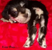 processed/461cb857-cc06-4313-8086-387559a887e5/facility/7ce93988-87c4-4420-b5b5-e16623ed0467