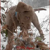 processed/461cb857-cc06-4313-8086-387559a887e5/facility/902825a2-0ed0-48af-b9b6-efb077bcd5be