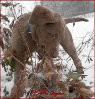 processed/461cb857-cc06-4313-8086-387559a887e5/facility/902825a2-0ed0-48af-b9b6-efb077bcd5be