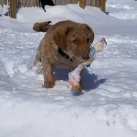 processed/461cb857-cc06-4313-8086-387559a887e5/facility/a8acc83e-91fd-4fc8-9cdf-a1c33787cc58