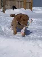 processed/461cb857-cc06-4313-8086-387559a887e5/facility/a8acc83e-91fd-4fc8-9cdf-a1c33787cc58