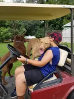 processed/461cb857-cc06-4313-8086-387559a887e5/facility/a9ad57ae-5ec8-4cae-87ed-e46caf9eba63