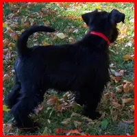 processed/461cb857-cc06-4313-8086-387559a887e5/facility/aee906e1-6ed2-4d8f-9bae-7e402749a85b