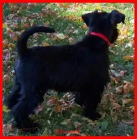 processed/461cb857-cc06-4313-8086-387559a887e5/facility/aee906e1-6ed2-4d8f-9bae-7e402749a85b