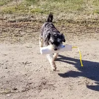 processed/461cb857-cc06-4313-8086-387559a887e5/facility/b1444a0f-7111-46ed-acd9-e521d4ca3a56