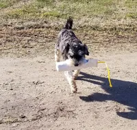 processed/461cb857-cc06-4313-8086-387559a887e5/facility/b1444a0f-7111-46ed-acd9-e521d4ca3a56