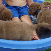 processed/461cb857-cc06-4313-8086-387559a887e5/facility/d91400b6-1be8-4416-a027-c25737471108