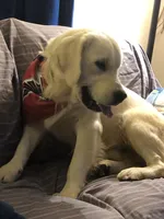 processed/461ced9b-286c-4a9e-8bed-21b9b791cc18/facility/53a89e4e-53cf-4043-ba78-8ed07307e42f