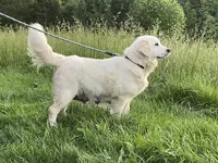 processed/461ced9b-286c-4a9e-8bed-21b9b791cc18/facility/e52ad73f-2839-4fee-b92e-5450f1e68a06