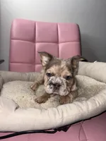 processed/4620103e-f89a-4298-af4c-58437d47d150/listing/0f224a2a-11f8-4848-b2d2-2380620ef5ec/2f4922b6-f31c-42fc-bf68-c0575b0f38d7