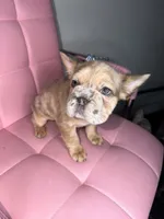 processed/4620103e-f89a-4298-af4c-58437d47d150/listing/0f224a2a-11f8-4848-b2d2-2380620ef5ec/3cd2c8b4-c549-4307-8376-6d8f8ee91d9d