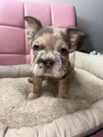 processed/4620103e-f89a-4298-af4c-58437d47d150/listing/0f224a2a-11f8-4848-b2d2-2380620ef5ec/72302460-a6f7-46e5-bc05-cf7844113b48