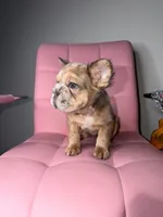 processed/4620103e-f89a-4298-af4c-58437d47d150/listing/0f224a2a-11f8-4848-b2d2-2380620ef5ec/c2528521-3e8b-49f3-93a6-2196ea3baa2d