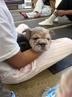 processed/4620103e-f89a-4298-af4c-58437d47d150/listing/0f224a2a-11f8-4848-b2d2-2380620ef5ec/c4eb345e-4580-44e6-900f-0b6ffdb796ce