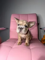 processed/4620103e-f89a-4298-af4c-58437d47d150/listing/0f224a2a-11f8-4848-b2d2-2380620ef5ec/f101d38d-ae12-4397-bc55-ce9ed5743c6b