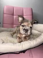 processed/4620103e-f89a-4298-af4c-58437d47d150/listing/0f224a2a-11f8-4848-b2d2-2380620ef5ec/f62cb4fd-a793-4cc3-b950-ff9fc93a64eb